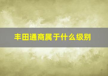 丰田通商属于什么级别