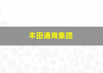 丰田通商集团