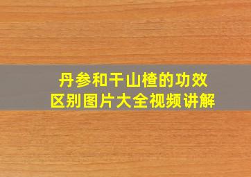 丹参和干山楂的功效区别图片大全视频讲解