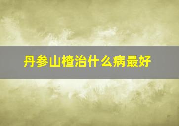 丹参山楂治什么病最好