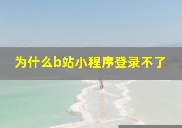 为什么b站小程序登录不了