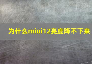 为什么miui12亮度降不下来