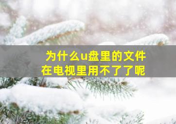 为什么u盘里的文件在电视里用不了了呢