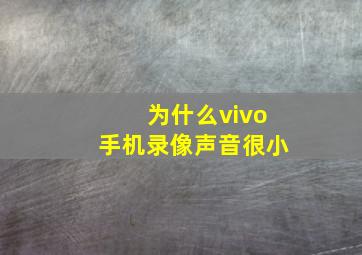 为什么vivo手机录像声音很小