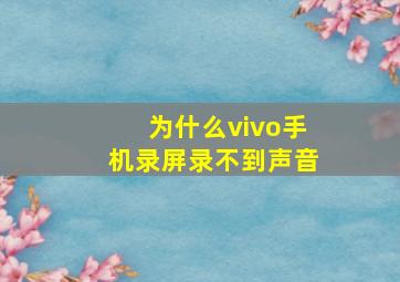 为什么vivo手机录屏录不到声音