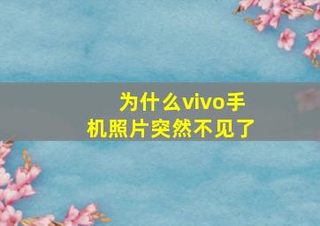 为什么vivo手机照片突然不见了