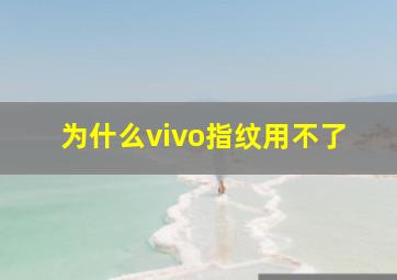 为什么vivo指纹用不了