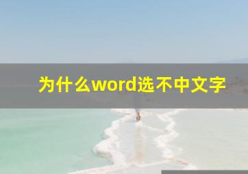 为什么word选不中文字