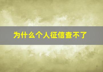 为什么个人征信查不了