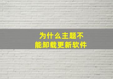 为什么主题不能卸载更新软件