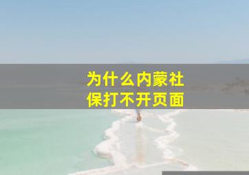 为什么内蒙社保打不开页面