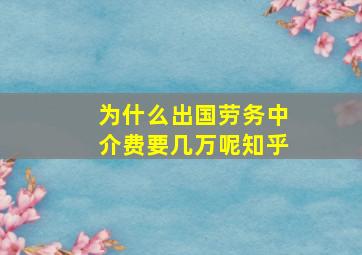 为什么出国劳务中介费要几万呢知乎