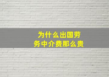 为什么出国劳务中介费那么贵