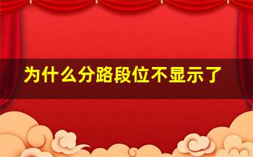 为什么分路段位不显示了