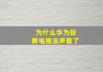 为什么华为投屏电视没声音了