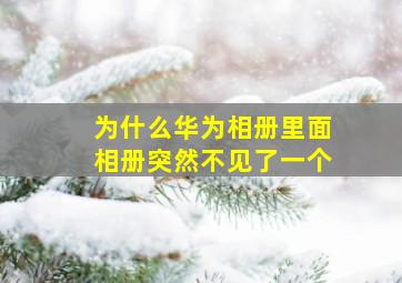 为什么华为相册里面相册突然不见了一个