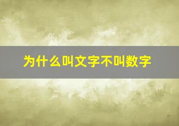 为什么叫文字不叫数字