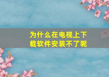 为什么在电视上下载软件安装不了呢