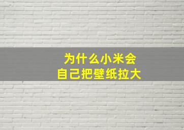 为什么小米会自己把壁纸拉大