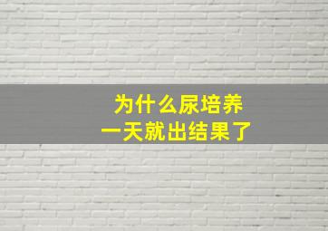 为什么尿培养一天就出结果了