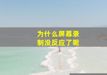 为什么屏幕录制没反应了呢