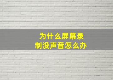 为什么屏幕录制没声音怎么办