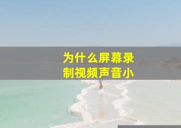 为什么屏幕录制视频声音小