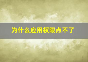 为什么应用权限点不了