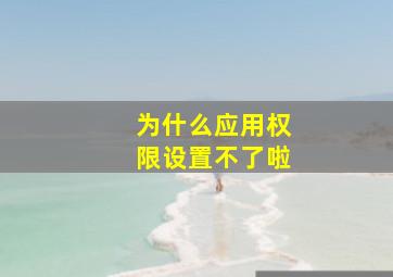 为什么应用权限设置不了啦