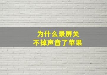 为什么录屏关不掉声音了苹果