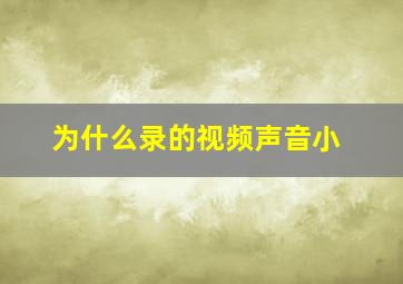 为什么录的视频声音小