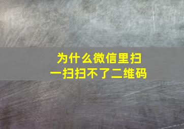 为什么微信里扫一扫扫不了二维码