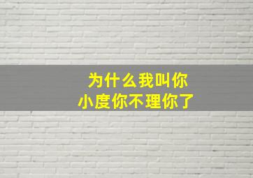 为什么我叫你小度你不理你了