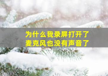 为什么我录屏打开了麦克风也没有声音了