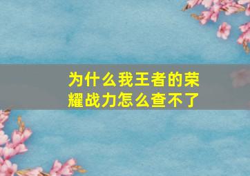 为什么我王者的荣耀战力怎么查不了