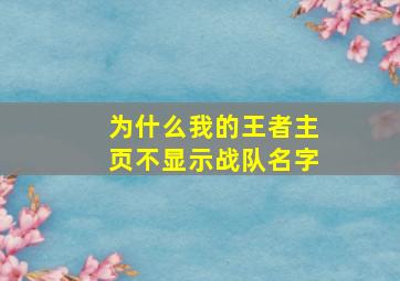 为什么我的王者主页不显示战队名字