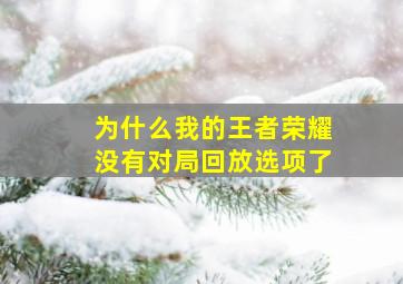 为什么我的王者荣耀没有对局回放选项了