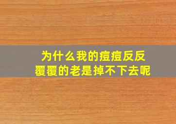 为什么我的痘痘反反覆覆的老是掉不下去呢