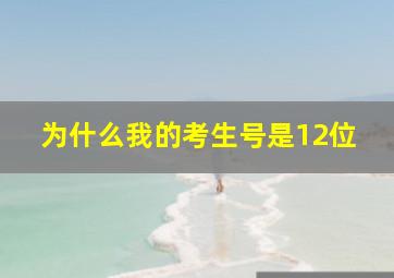 为什么我的考生号是12位