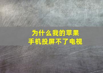 为什么我的苹果手机投屏不了电视