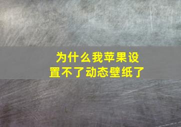 为什么我苹果设置不了动态壁纸了