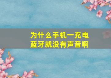 为什么手机一充电蓝牙就没有声音啊