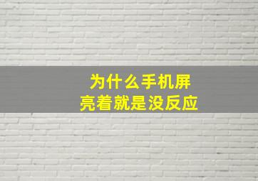 为什么手机屏亮着就是没反应