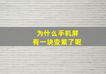 为什么手机屏有一块变紫了呢