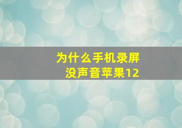 为什么手机录屏没声音苹果12