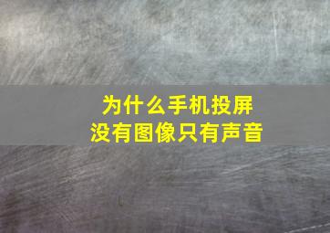 为什么手机投屏没有图像只有声音