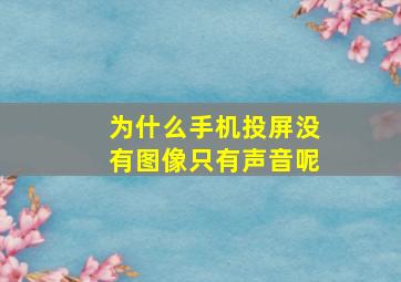 为什么手机投屏没有图像只有声音呢