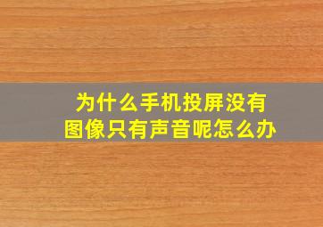 为什么手机投屏没有图像只有声音呢怎么办