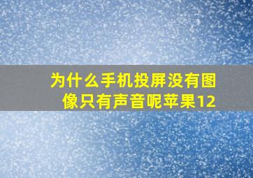 为什么手机投屏没有图像只有声音呢苹果12