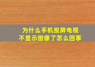 为什么手机投屏电视不显示图像了怎么回事